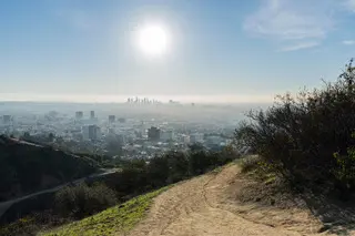 A sunny view of a city skyline from a hillside trail.